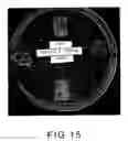 Fig. 22 - Chitosan based dressing