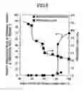 Fig. 10 - Honeycomb structure