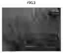 Fig. 04 - Honeycomb structure, honeycomb structure aggregate, and honeycomb structure catalyst