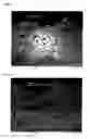 Fig. 03 - Protective coating for application to a substrate and method for manufacturing a protective coating