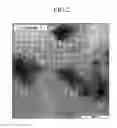Fig. 03 - Polymer membrane and membrane-electrode assembly for fuel cell and fuel cell system comprising same