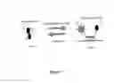 Fig. 08 - Heteroconfigurational Polynucleotides and Methods of Use