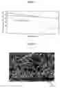 Fig. 02 - Positive active material composition for rechargeable lithium battery and method of preparing positive electrode using same