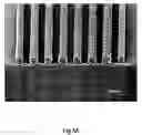 Fig. 08 - Topcoat compositions and methods of use thereof
