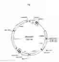 Fig. 02 - hERG channel-expressing cell
