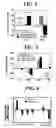 Fig. 06 - Method and system for diagnosis of neuropsychiatric disorders including chronic alcoholism