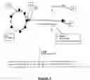 Fig. 05 - Method for the detection and multiplex quantification of analytes in a sample, using microspheres
