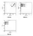 Fig. 06 - Method for the detection and multiplex quantification of analytes in a sample, using microspheres
