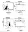 Fig. 13 - Method for the detection and multiplex quantification of analytes in a sample, using microspheres