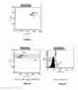 Fig. 17 - Method for the detection and multiplex quantification of analytes in a sample, using microspheres