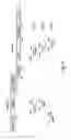 Fig. 05 - Method for study of the genetic and functional variability of HIV and kit for using it