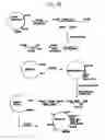 Fig. 141 - Method of detecting antibodies to HCV