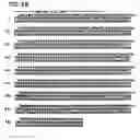 Fig. 33 - Method of detecting antibodies to HCV