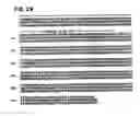 Fig. 34 - Method of detecting antibodies to HCV