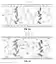 Fig. 03 - Methods and apparatus for protein assay diagnostics