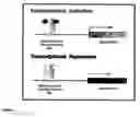 Fig. 02 - Transcription factor target gene discovery
