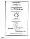 Fig. 07 - Transcription factor target gene discovery