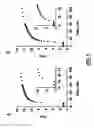 Fig. 09 - DNA enzymes