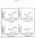 Fig. 06 - Heart failure assessment based on alpha-2C adrenergic receptor polymorphisms