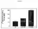 Fig. 07 - Heart failure assessment based on alpha-2C adrenergic receptor polymorphisms