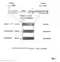 Fig. 02 - Method and means for determining specific conditions or changes in the uterine epithelium and in the epithelium of other organs