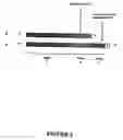Fig. 03 - Method of preparing dna fragments and applications thereof