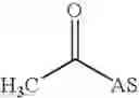 Fig. 08 - Method for selectively binding a substrate to sorbents by way of at least bivalent bonds