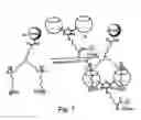 Fig. 06 - Synthetic binding pairs comprising cucurbituril derivatives and polyammonium compounds and uses thereof
