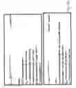 Fig. 17 - Quantification schemes for quantifying nucleic acids
