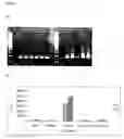 Fig. 05 - Novel method for diagnosing pathogens of sexually transmitted diseases