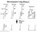 Fig. 01 - Methods of enzymatic discrimination enhancement and surface bound double-stranded DNA