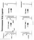 Fig. 03 - Methods of enzymatic discrimination enhancement and surface bound double-stranded DNA