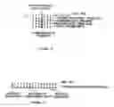 Fig. 12 - Methods of enzymatic discrimination enhancement and surface bound double-stranded DNA