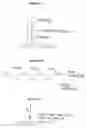 Fig. 17 - Methods of enzymatic discrimination enhancement and surface bound double-stranded DNA
