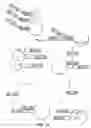 Fig. 02 - Cleavage of nucleic acids
