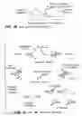 Fig. 03 - Cleavage of nucleic acids