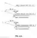Fig. 35 - Cleavage of nucleic acids