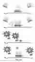 Fig. 41 - Cleavage of nucleic acids