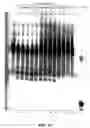 Fig. 62 - Cleavage of nucleic acids
