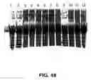 Fig. 63 - Cleavage of nucleic acids