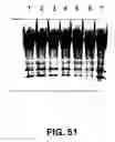 Fig. 66 - Cleavage of nucleic acids