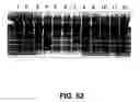 Fig. 67 - Cleavage of nucleic acids
