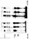 Fig. 68 - Cleavage of nucleic acids