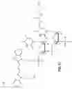 Fig. 72 - Cleavage of nucleic acids