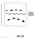 Fig. 74 - Cleavage of nucleic acids