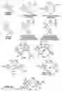 Fig. 82 - Cleavage of nucleic acids