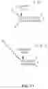 Fig. 91 - Cleavage of nucleic acids