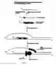 Fig. 02 - Methods for nucleic acid manipulation