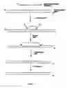 Fig. 04 - Methods for nucleic acid manipulation