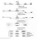 Fig. 04 - Analysis of methylation using nucleic acid arrays
